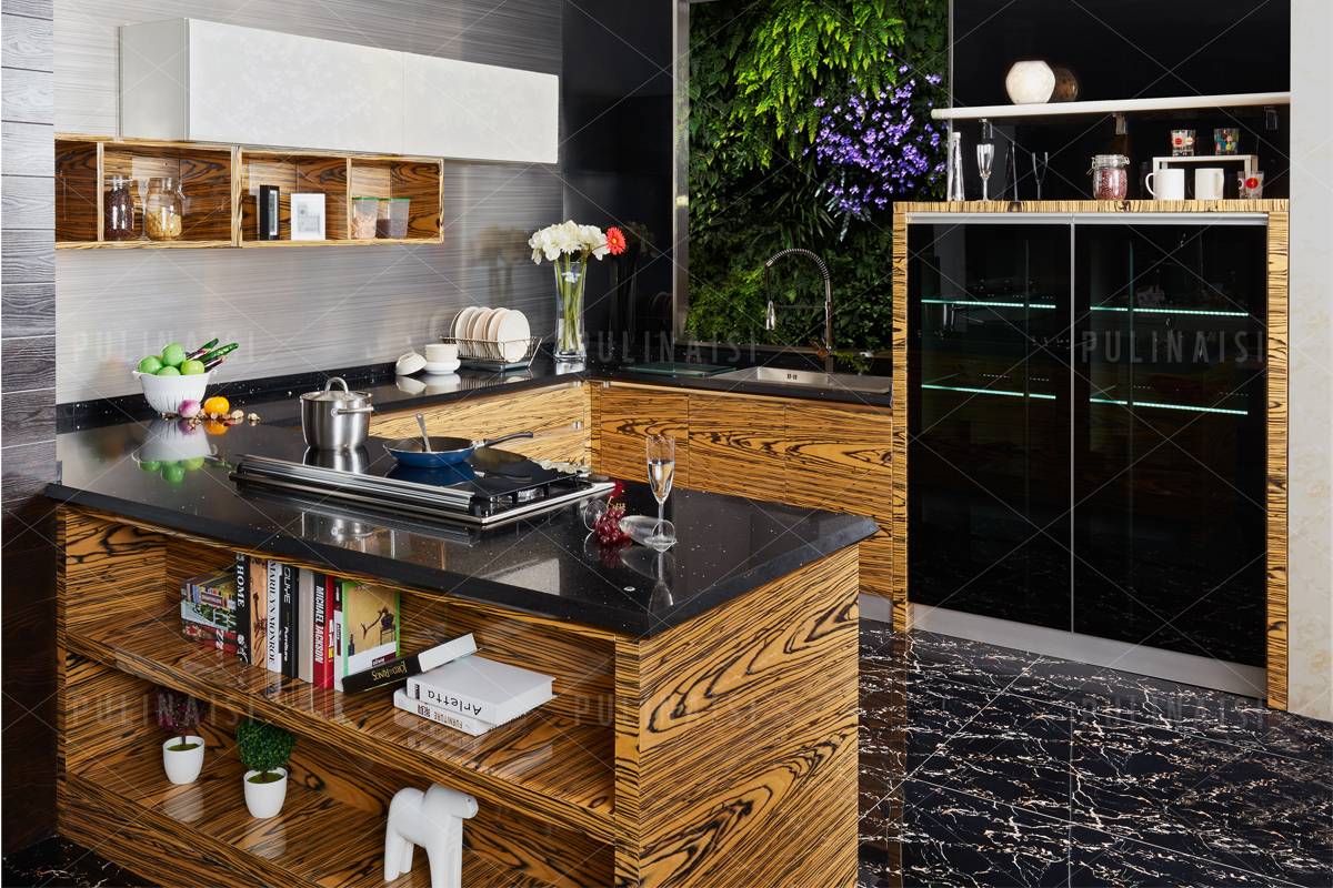 Stylish Veneer Highlight Glossy Kitchen with Colorful Options